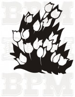 /album/fotogaleria-tematicke/a5-jpg2/