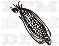 /album/fotogaleria-tematicke/a9-jpg2/