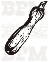 /album/fotogaleria-tematicke/a10-jpg2/